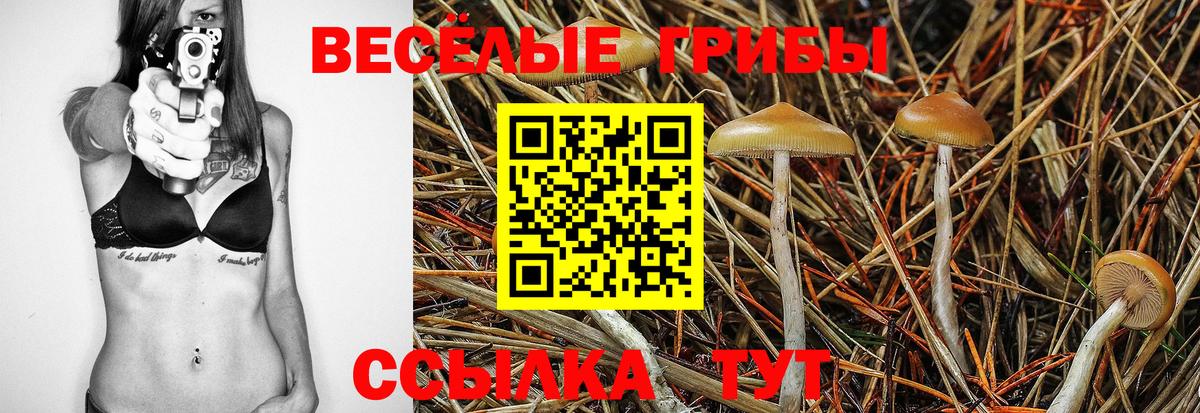 Отрадное  Псилоцибиновые грибы ЛСД  Вход с VPN 